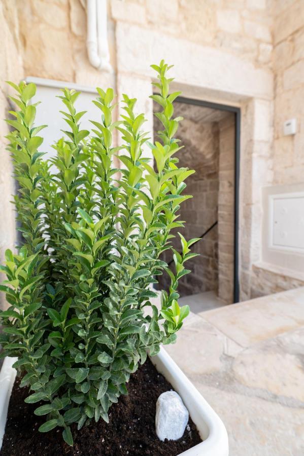 Piccola Pietra Bianca Ξενοδοχείο Giovinazzo Εξωτερικό φωτογραφία